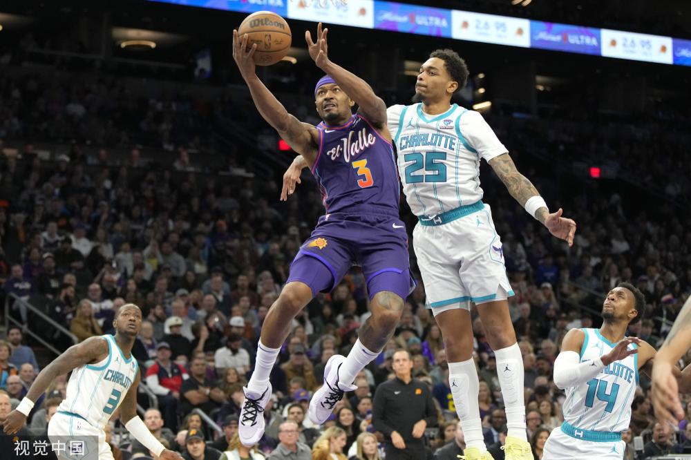 他们的丰富 他们的丰富